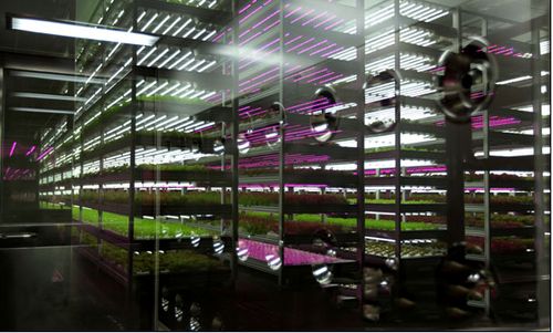 科技賦能，綠色未來 2018中國國際植物工廠及農業照明博覽會即將在滬開幕