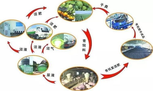 綏中千尋文案做項目投資策劃書質(zhì)量可靠